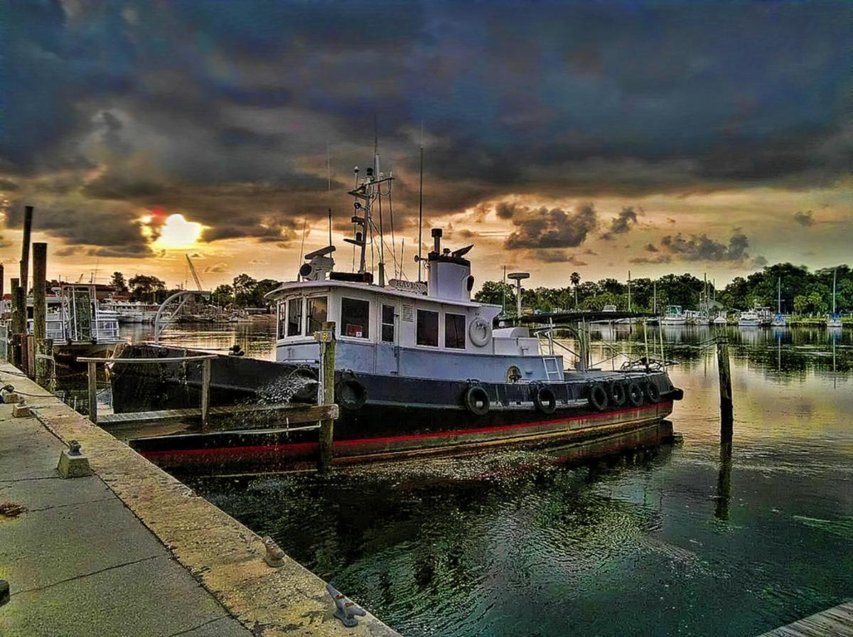 Hibiscus Hideaway Villa Tarpon Springs Eksteriør billede